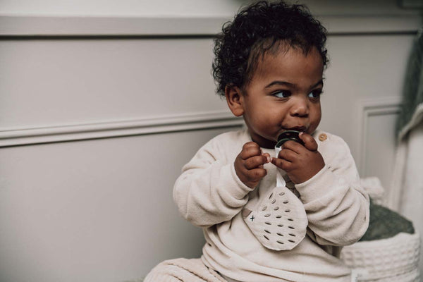 Koeka - Sucette en tissu Hérisson - Faro